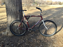 1984 Mongoose ATB single speed