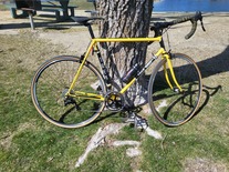 1984 Trek 660