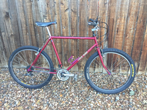 1984 Trek 830 Neo-retro ish mtb photo