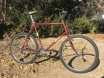1985 Raleigh Crested Butte