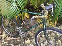 1985 Schwinn High Sierra photo