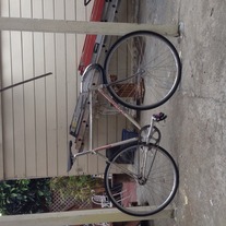 1985 Schwinn Madison