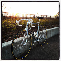 1986 Colnago Regal Arabesque photo