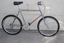 1986 Diamond Back Ascent