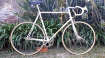 1986 Roselli Pista photo