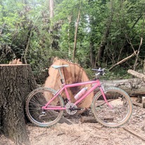 1986.5 Cannondale Team Pepto-Bismol