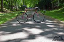 1987 Eddy Merckx team Lotto track #14. photo