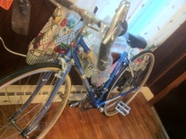 1987 SCHWINN SPRINT LADIES