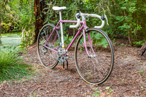 1987 Schwinn Super Sport photo