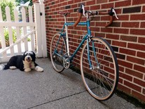 1987 Schwinn Tempo