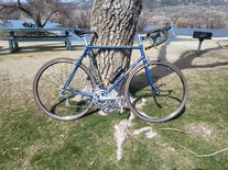1987 Specialized Allez SE