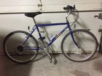 1987 Street Stomper