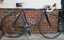 1987 Trek 330 Elance