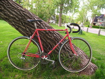 1988 Fuji Tiara