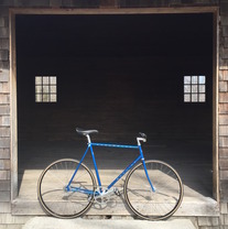 Schwinn Paramount Track photo