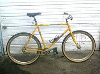 1988 Specialized Rockhopper