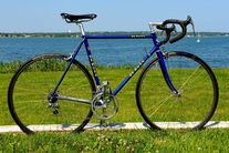 1989 De Rosa Professional SLX photo