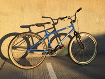 1989 GT Timberline SS/BMX