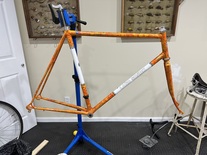1989 Landshark Road Shark