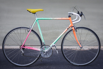 1989 Schwinn Paramount Special Edition? photo