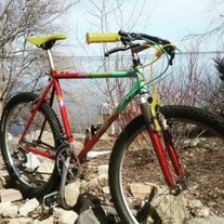 1989 specialized stumpjumper custom