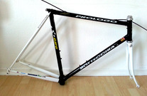 199? bottecchia prologo 989