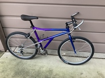 1990 Haro extreme