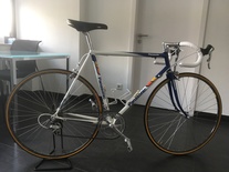 1990 Replica Teambike Panasonic PR 6000