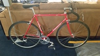 1991 Pinarello Treviso 56