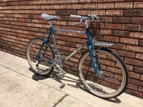 1991 Raleigh Technium Chill