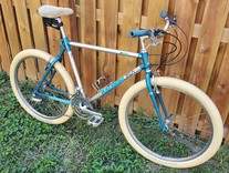 1991 Raleigh Technium Obsession, 19.5"