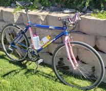 1992 KHS Montana Comp photo