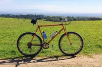 1992 TIG Welded Rock Lobster MTB