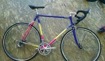 1993 Eddy Merckx Century Tutti Frutti