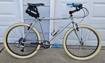 1993 Jamis Dakota 1x Cruiser