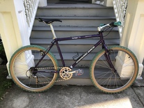 1994 Diamond Back Ascent