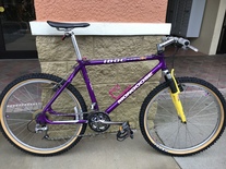 1994 Mongoose IBOC Comp SX