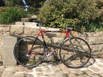 1995 A.Corbeau Columbus Thron daily