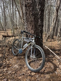1995 Diamondback Vertex