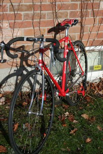 Pinarello Treviso 1996