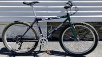 1996 Trek 830