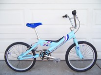 2000 Specialized Fatgirl photo