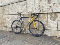 Lemond Zurich photo