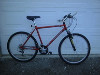 2002 Mountain Bike