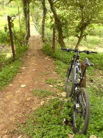 2003 Cannondale Jekyll photo