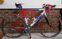 2003 Fuji Team Pro