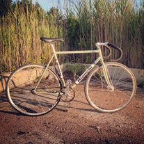 Gang Green Bianchi Pista. photo