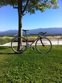 2006 Bianchi Pista