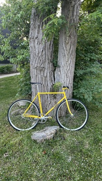 2006 Eimei NJS photo
