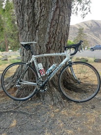 2008 Bianchi coast 2 coast